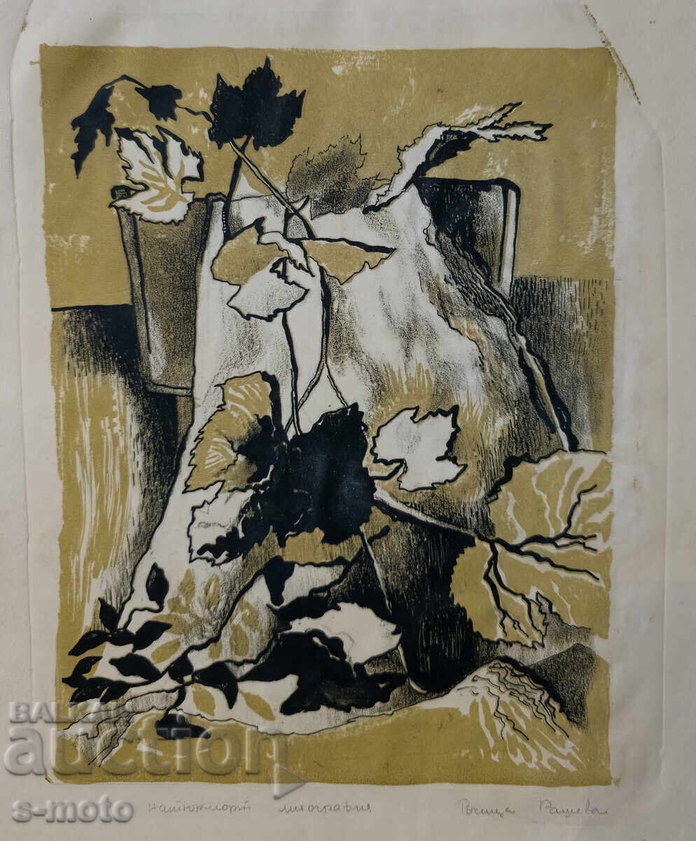 Grafică, litografie natură statică - 6