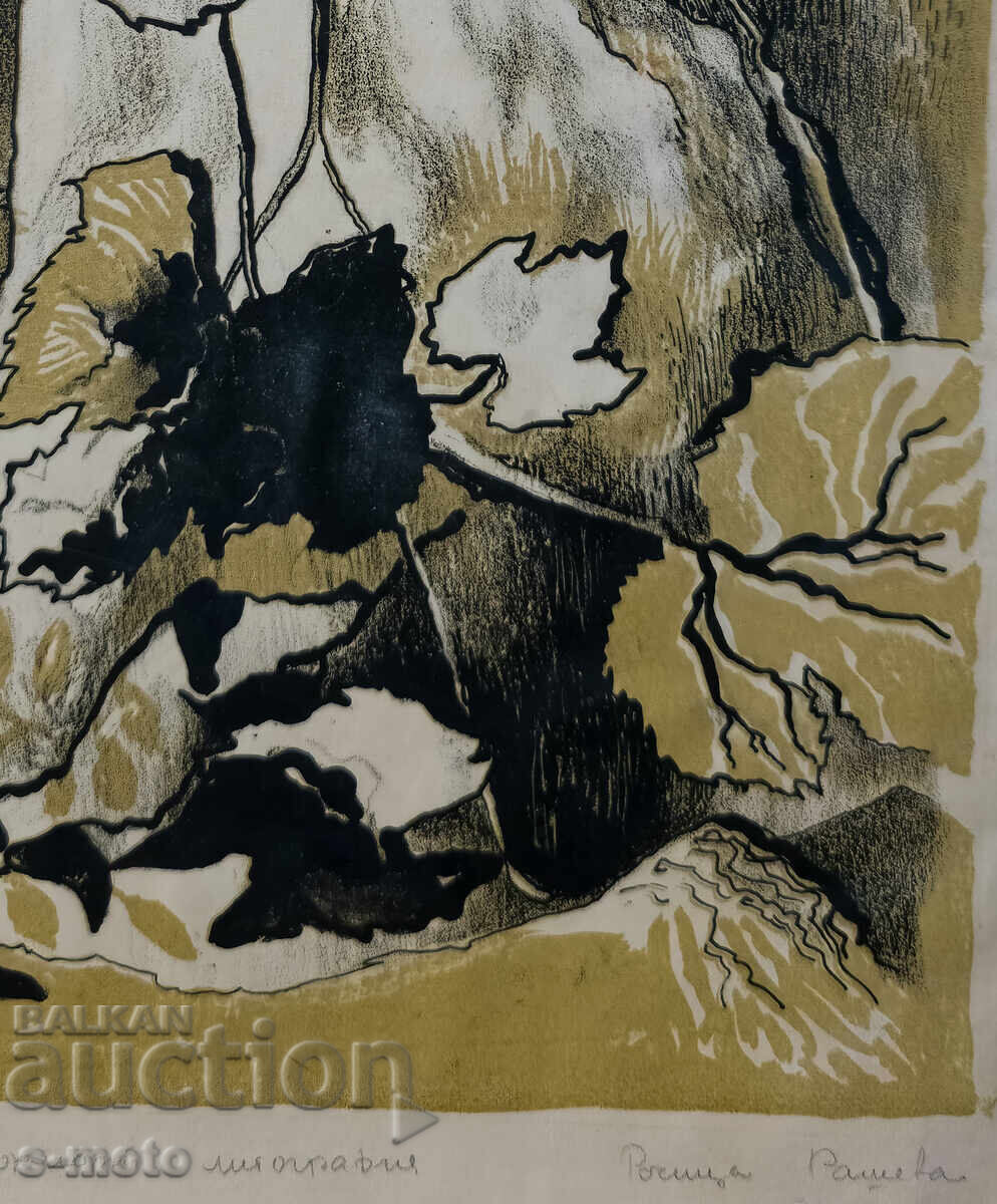 Grafică, litografie natură statică - 7