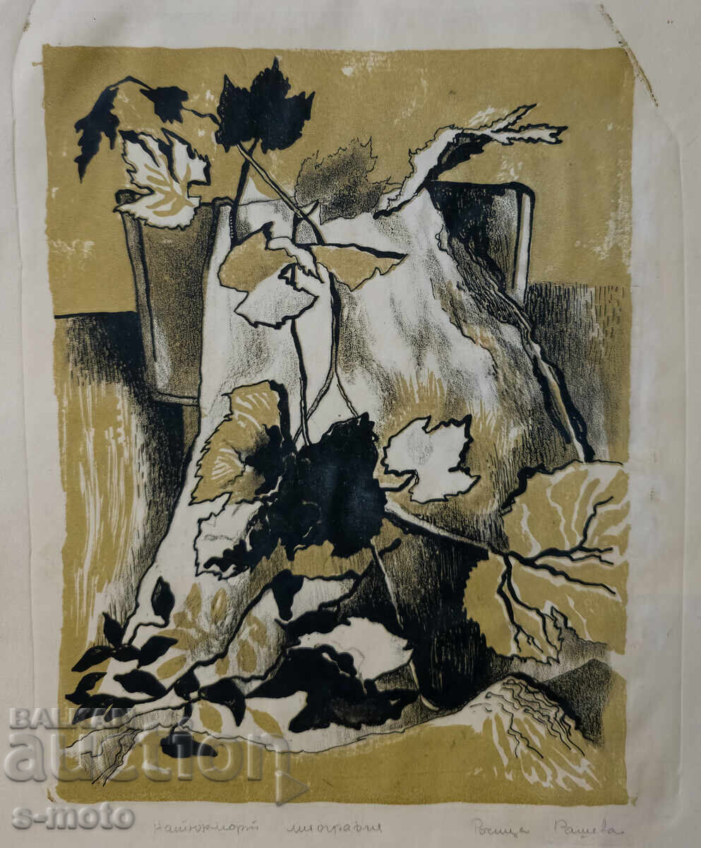 Grafică, litografie natură statică