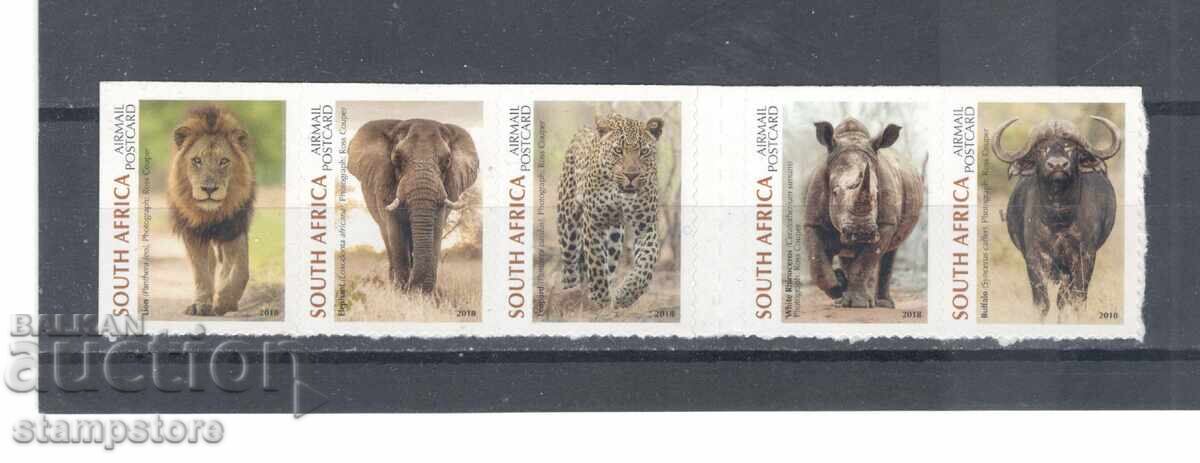 Νότια Αφρική - Πανίδα εθνικών πάρκων και καταφυγίων Νότια Αφρική - Πανίδα εθνικών πάρκων και καταφυγίων