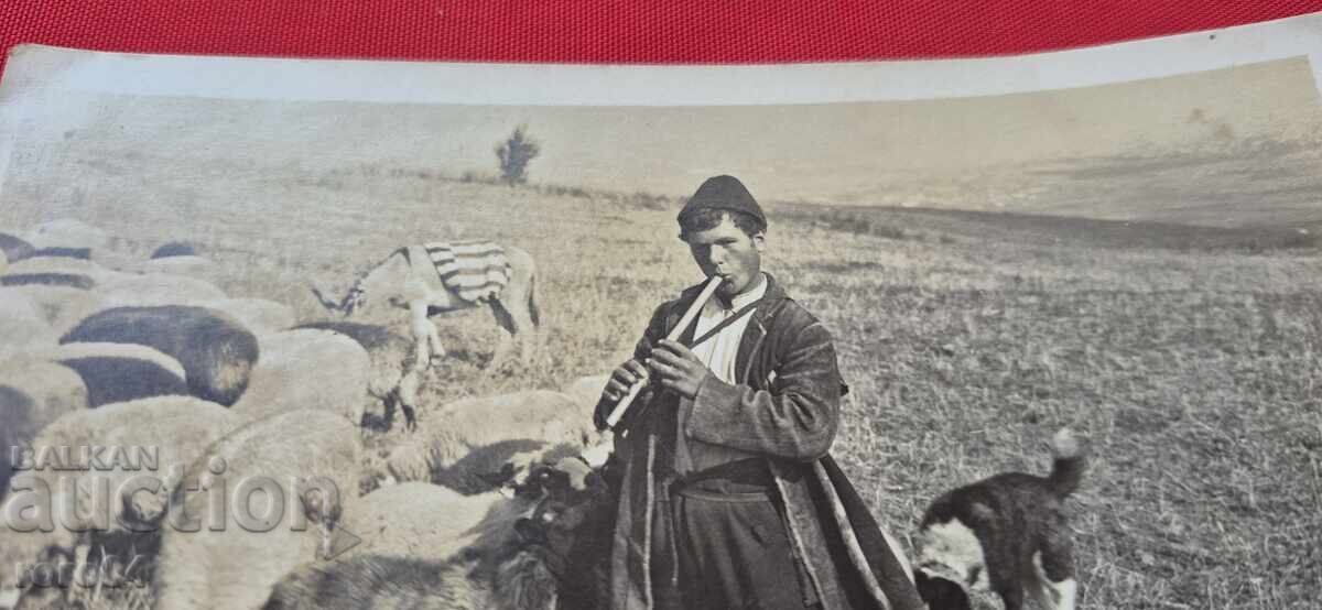 SOFIA - OPERATOR DE UNITATE BIOLOGICĂ cu preț 25.00 BGN | € 12.78