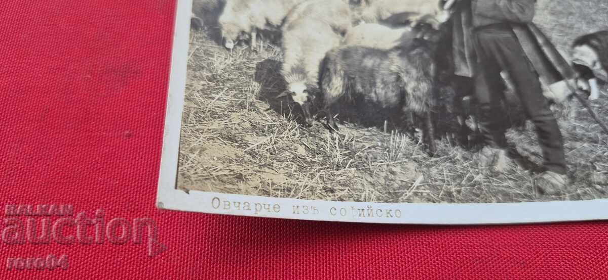 Licitație SOFIA - OPERATOR DE UNITATE BIOLOGICĂ