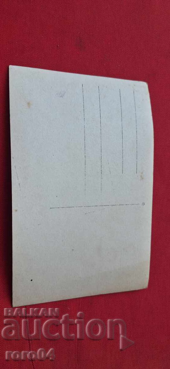 SOFIA - OPERATOR DE UNITATE BIOLOGICĂ - 5