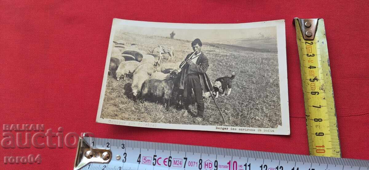 SOFIA - OPERATOR DE UNITATE BIOLOGICĂ - 6