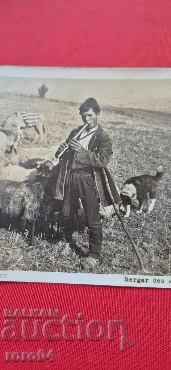 SOFIA - OPERATOR DE UNITATE BIOLOGICĂ - 7