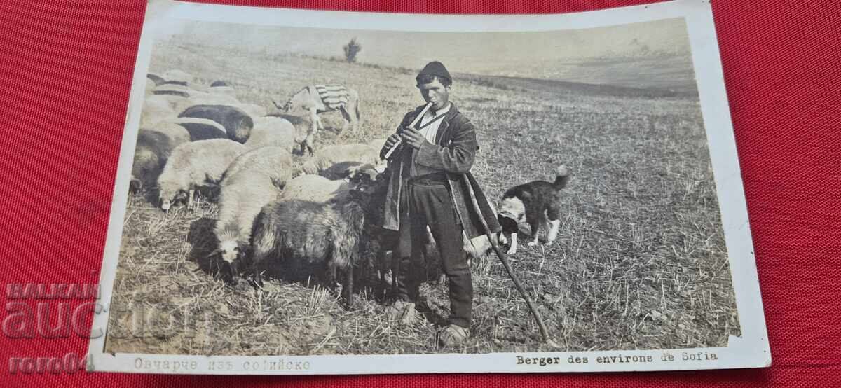 SOFIA - OPERATOR DE UNITATE BIOLOGICĂ