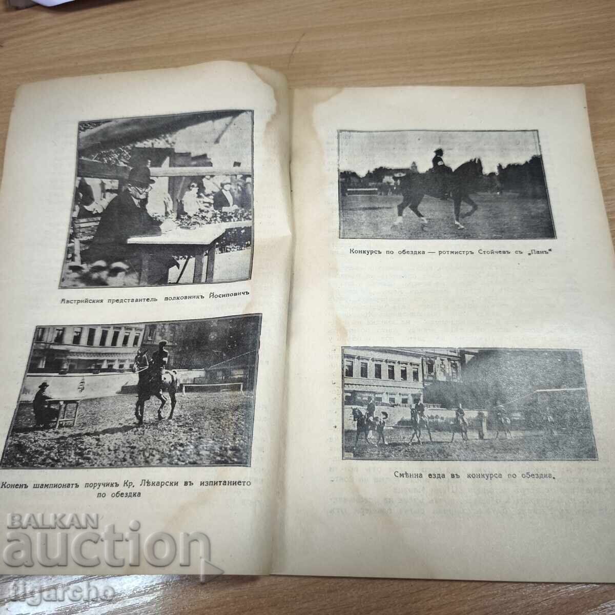 Δημοπρασία Η Δική μας Ιππασία Δημοπρασία Η Δική μας Ιππασία