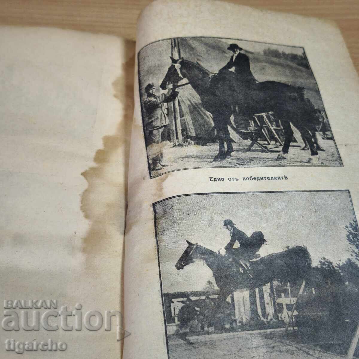 Η Δική μας Ιππασία - 6 Η Δική μας Ιππασία - 6