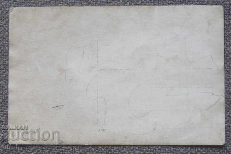 Fotografie veche, fotografie copil, lebede cu preț 6.00 BGN | € 3.07