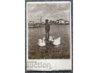 Old photo photograph child swans