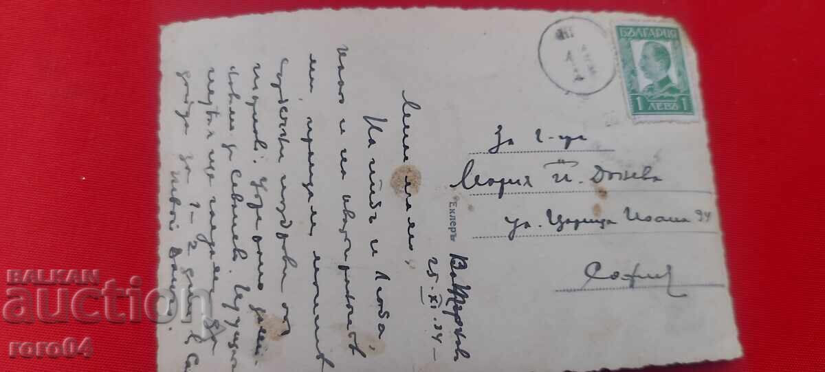 ΒΕΛΙΚΟ ΤΑΡΝΟΒΟ - 6