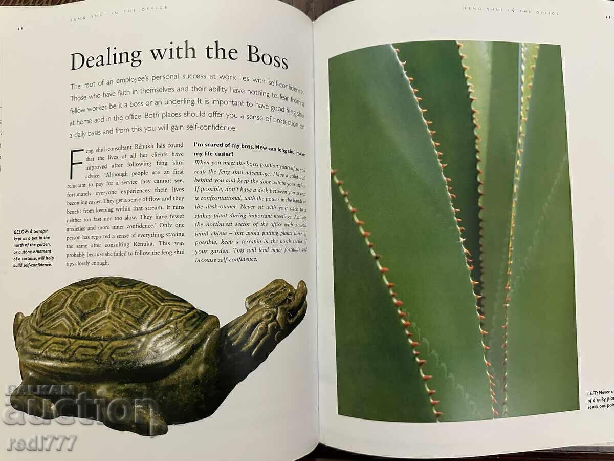 Feng Shui - Practical Guide to Health, Wealth, and Happiness - 5 Feng Shui - Practical Guide to Health, Wealth, and Happiness - 5