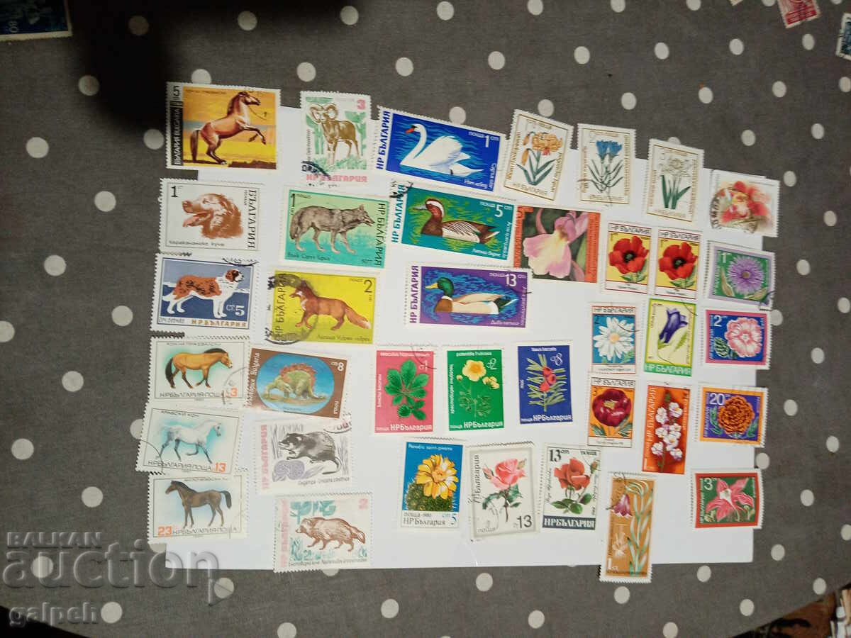 Δημοπρασία Γραμματόσημα - Λαϊκή Δημοκρατία της Βουλγαρίας - 250+ τμχ Δημοπρασία Γραμματόσημα - Λαϊκή Δημοκρατία της Βουλγαρίας - 250+ τμχ