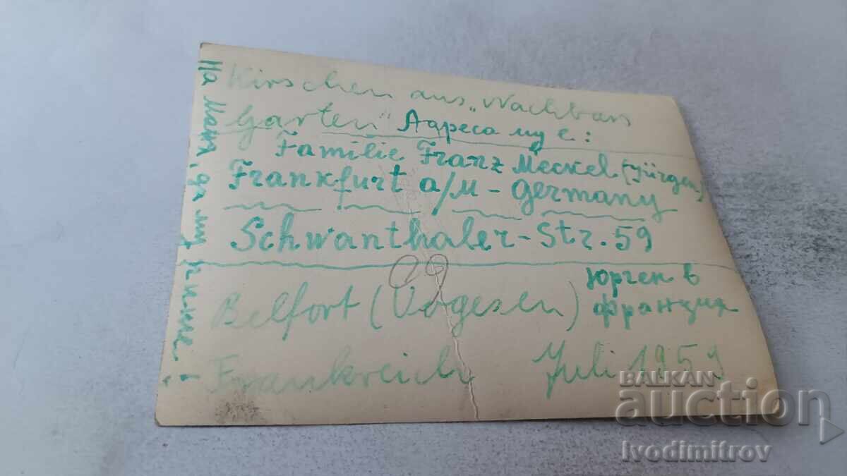 Снимка Млад мъж на паднало дърво похапващ грозде с цена 1.65 лв. | € 0.84 Снимка Млад мъж на паднало дърво похапващ грозде с цена 1.65 лв. | € 0.84