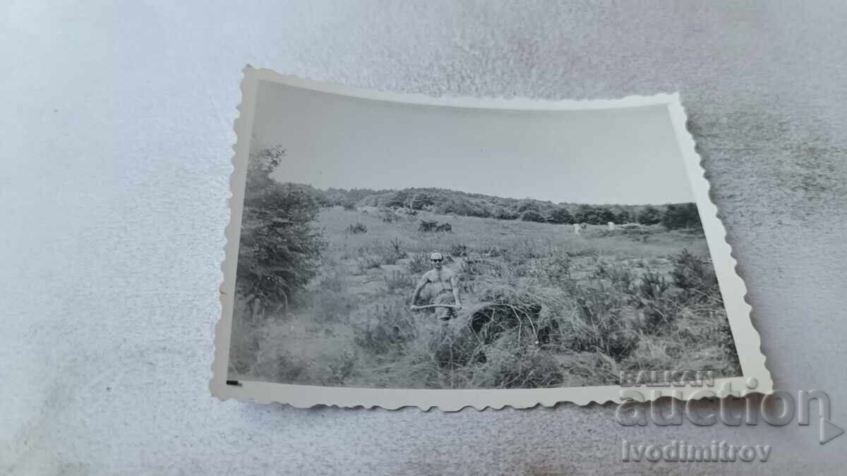 Man Gathering Hay (Photo)