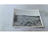 Man Gathering Hay (Photo)