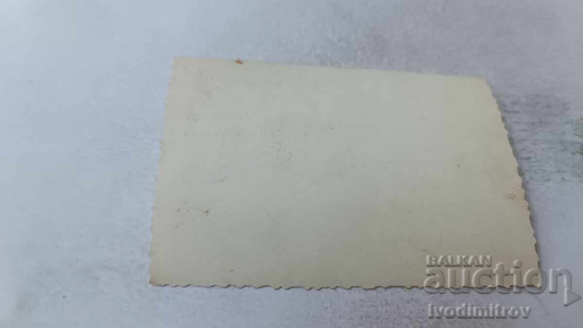 Fotografie Doi băieți pe ponton cu preț 1.65 BGN | € 0.84