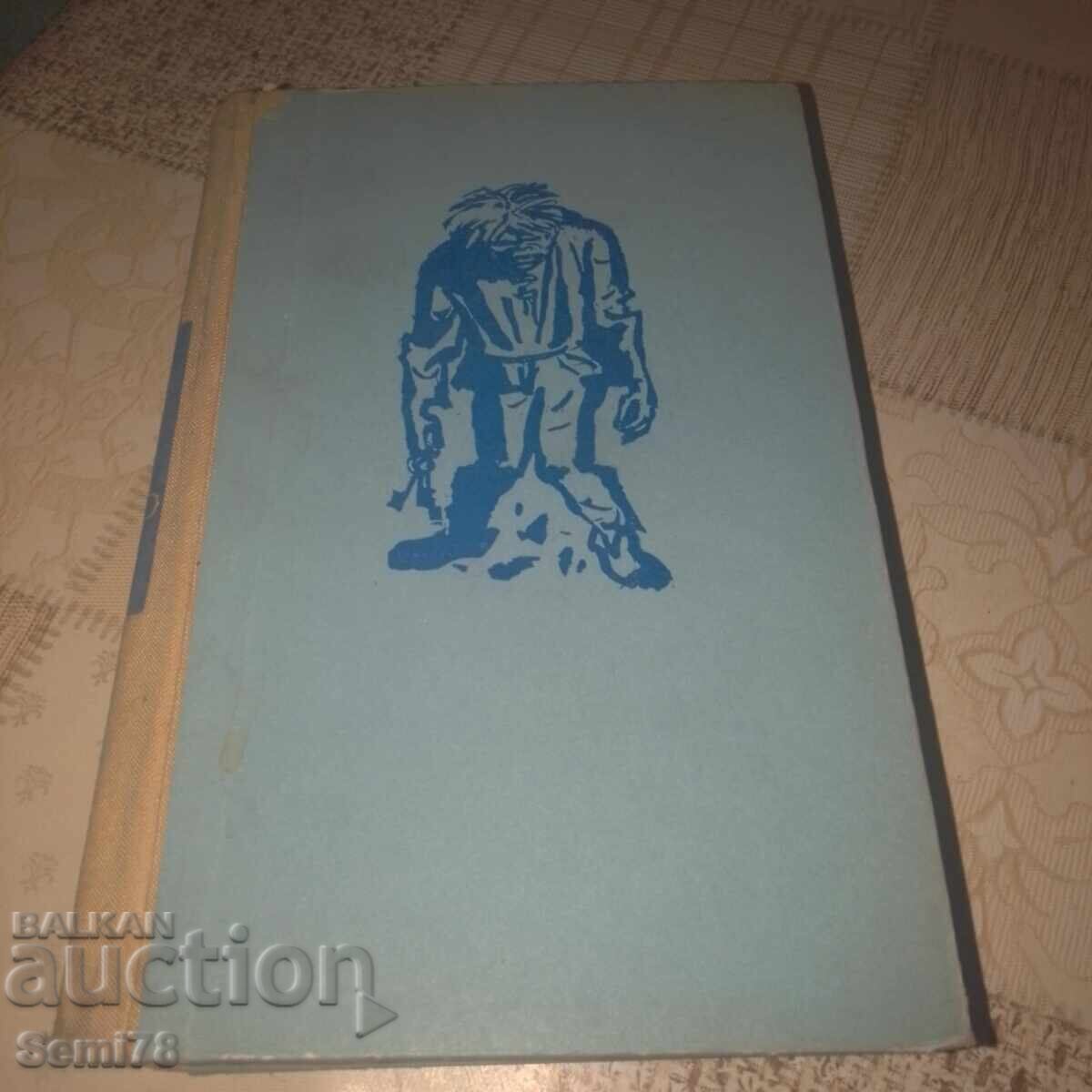 Парижката света богородица - Виктор Юго