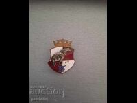 ЗНАЧКА 13 ТИ ТРАНСПОРТЕН АВИАЦИОНЕН ПОЛК КРАКОВ ЕМАЙЛ