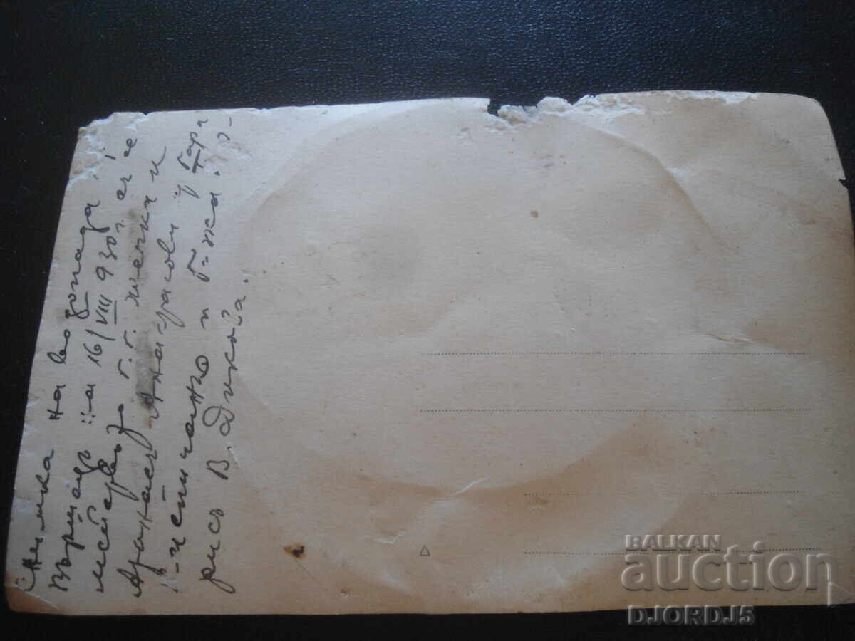 Licitație Fotografie veche, 16.VIII.1930, Vârșeț, cascada