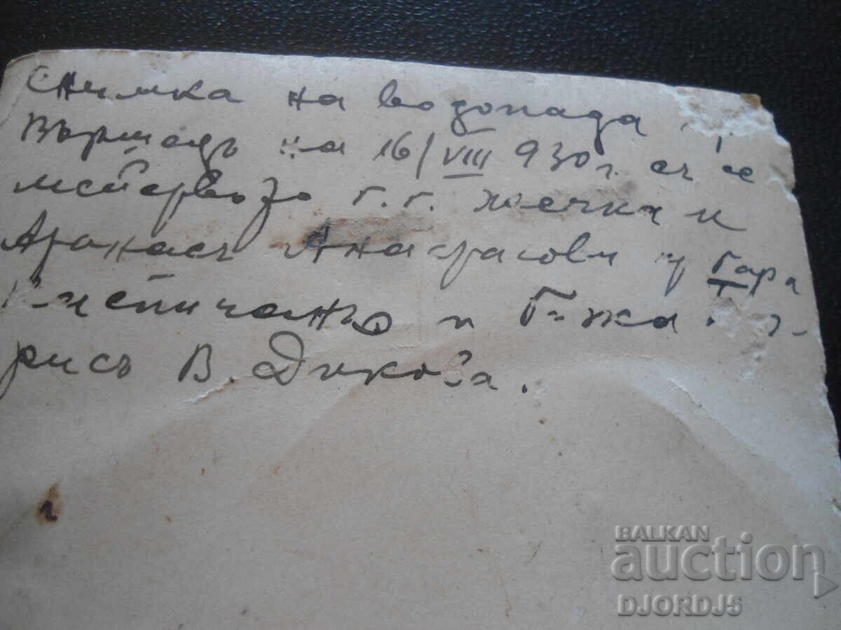 Livrarea Fotografie veche, 16.VIII.1930, Vârșeț, cascada