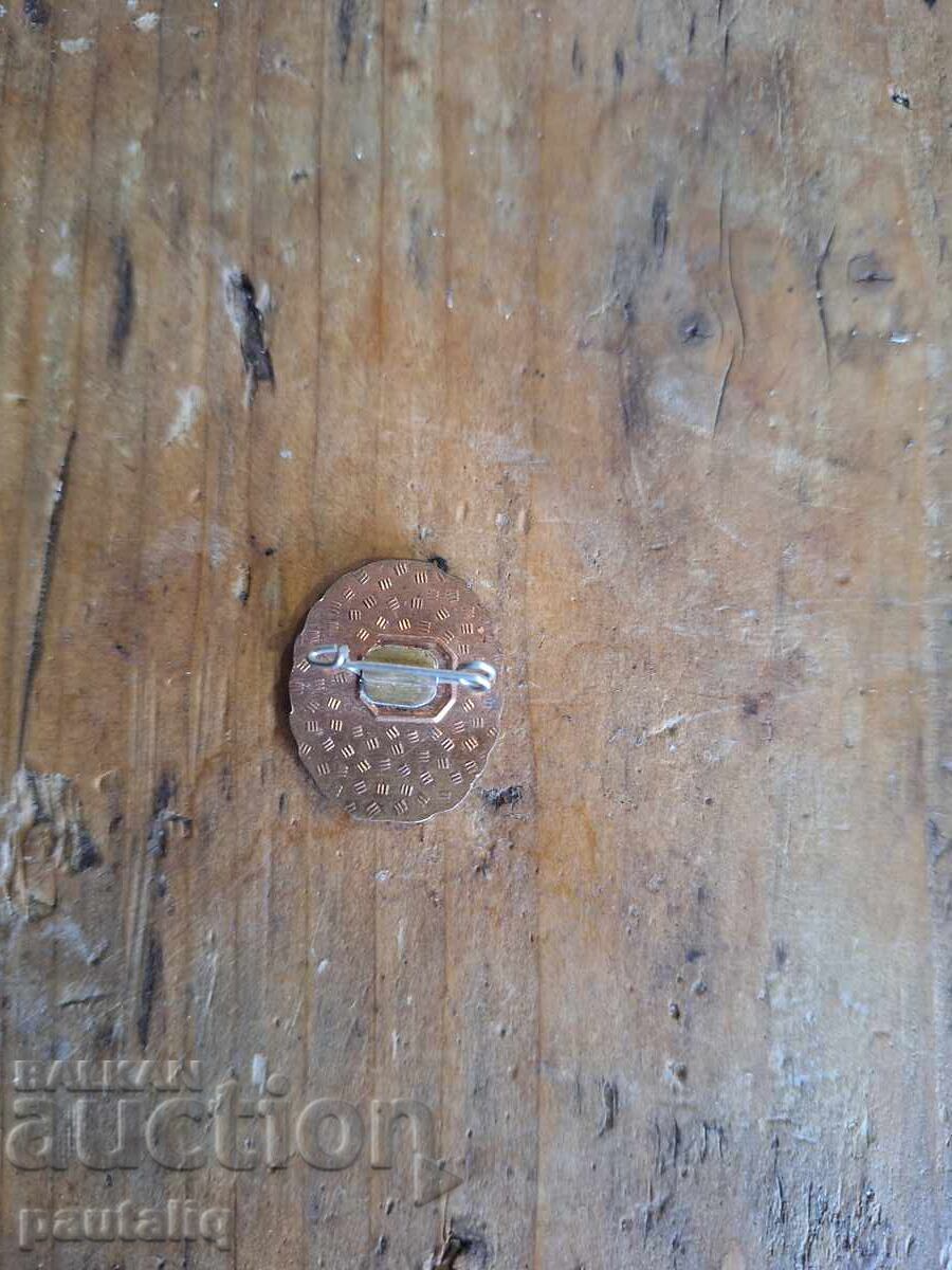 Σηματάκι Ανατολικής Γερμανίας Ερυθρού Σταυρού με τιμή 2.00 BGN | € 1.02 Σηματάκι Ανατολικής Γερμανίας Ερυθρού Σταυρού με τιμή 2.00 BGN | € 1.02