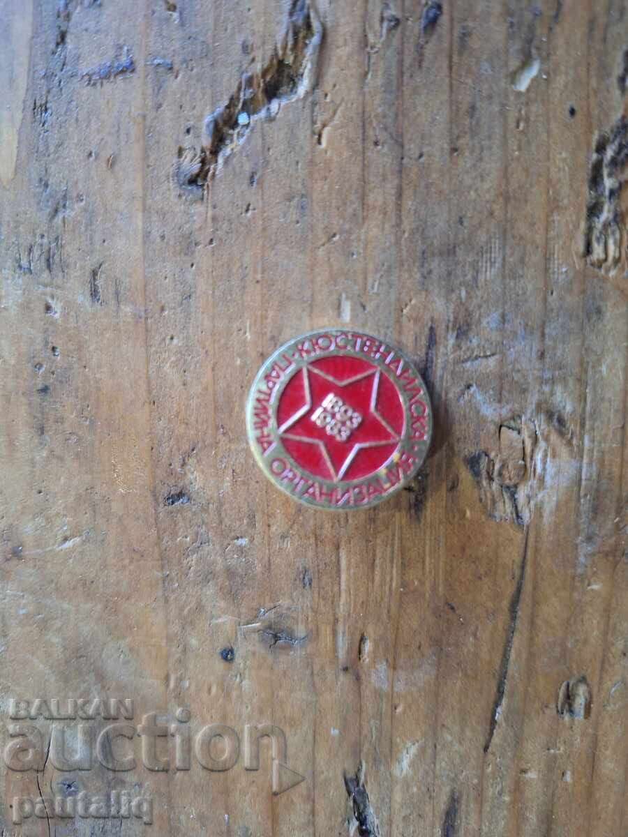 ЗНАЧКА КЮСТЕНДИЛСКА ПАРТИЙНА ОРГАНИЗАЦИЯ