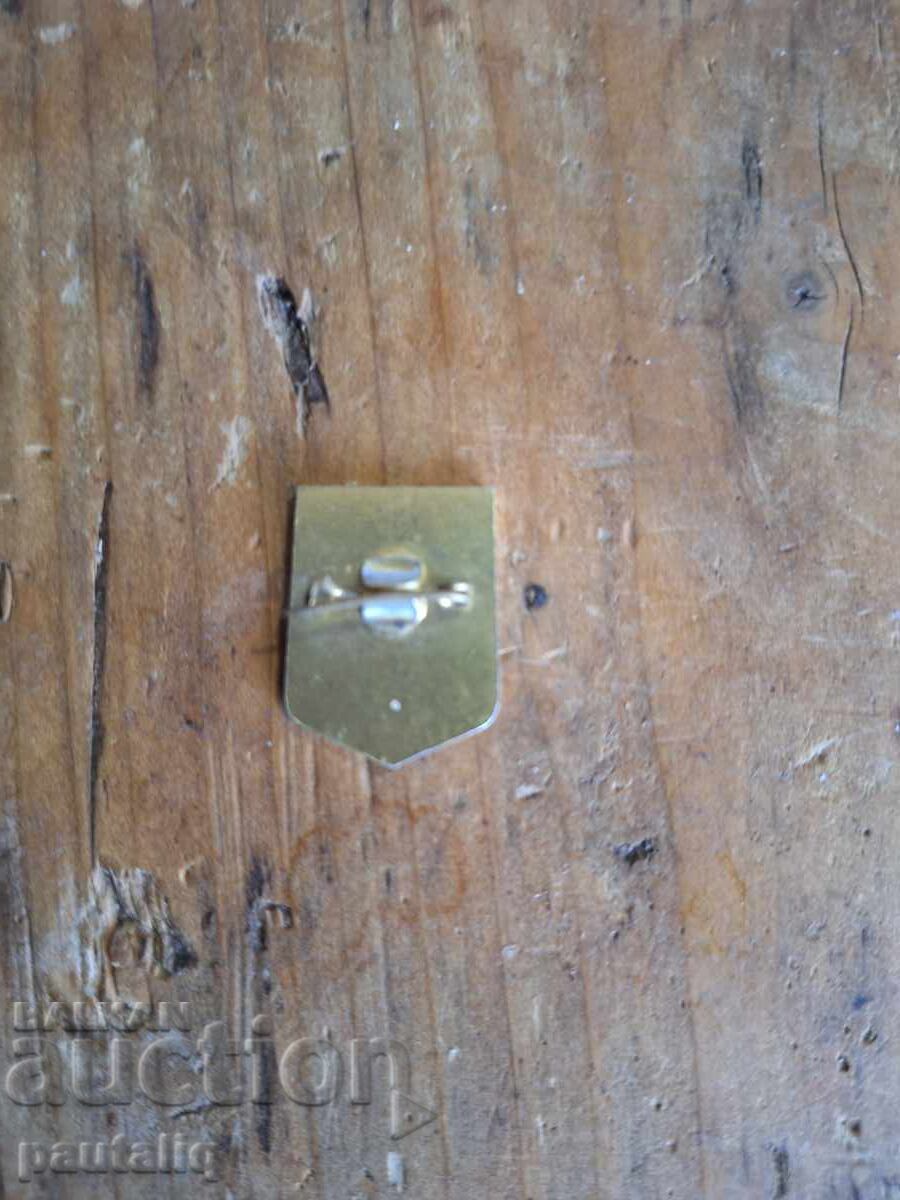 ЗНАЧКА САНДАНСКИ с цена 5.00 лв. | € 2.56