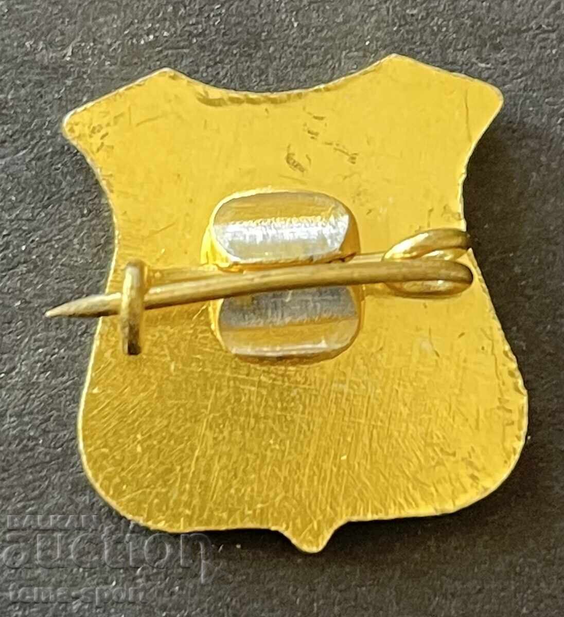 1634 Βουλγαρία σήμα ποδοσφαιρικού συλλόγου Τρέβνα με τιμή 5.00 BGN | € 2.56