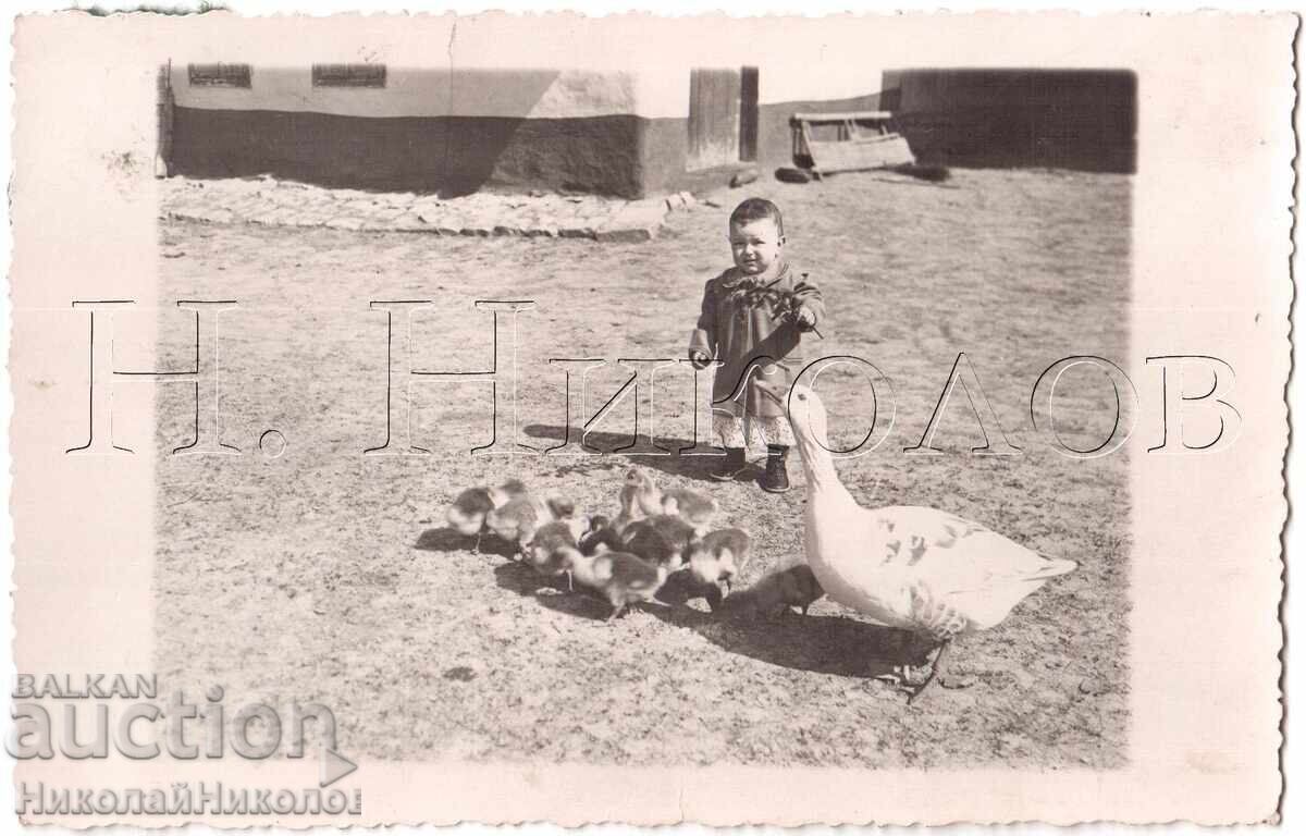 СТАРА СНИМКА ДРАГАНОВО МОМИЧЕНЦЕ С ПАТЕТА ФОТО КАЛИЦОВ Е073