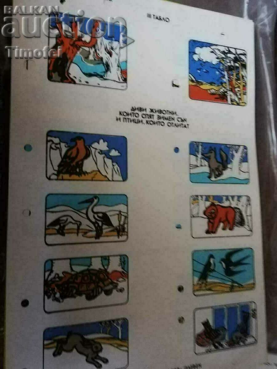 Livrarea O jucărie veche.