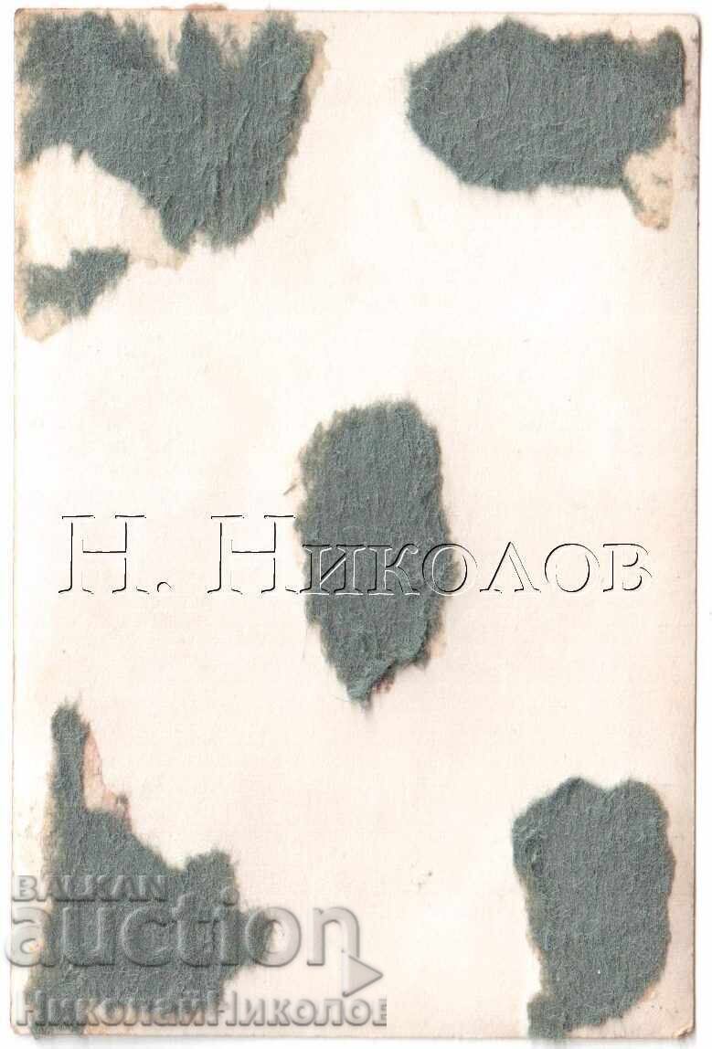 ΜΙΚΡΗ ΠΑΛΙΑ ΦΩΤΟΓΡΑΦΙΑ ΟΜΟΡΦΗ ΝΕΑ ΓΥΝΑΙΚΑ Ε078 με τιμή 2.50 BGN | € 1.28