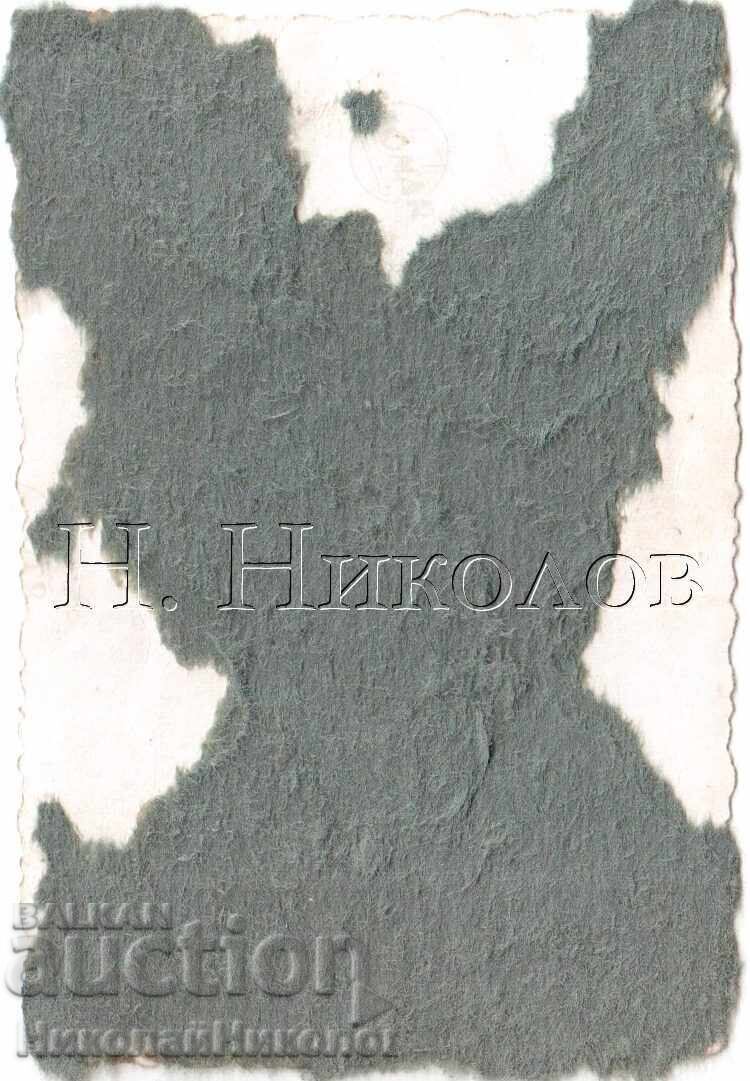 SMALL OLD PHOTO YOUNG WOMAN WITH TWO GIRLS E082 with price 2.50 BGN | € 1.28 SMALL OLD PHOTO YOUNG WOMAN WITH TWO GIRLS E082 with price 2.50 BGN | € 1.28