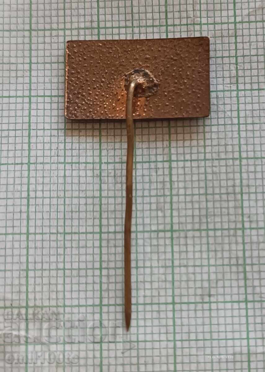 Emblemă - 30 de ani OF Frontul Patriotic 1942 1972 g - 5 Emblemă - 30 de ani OF Frontul Patriotic 1942 1972 g - 5