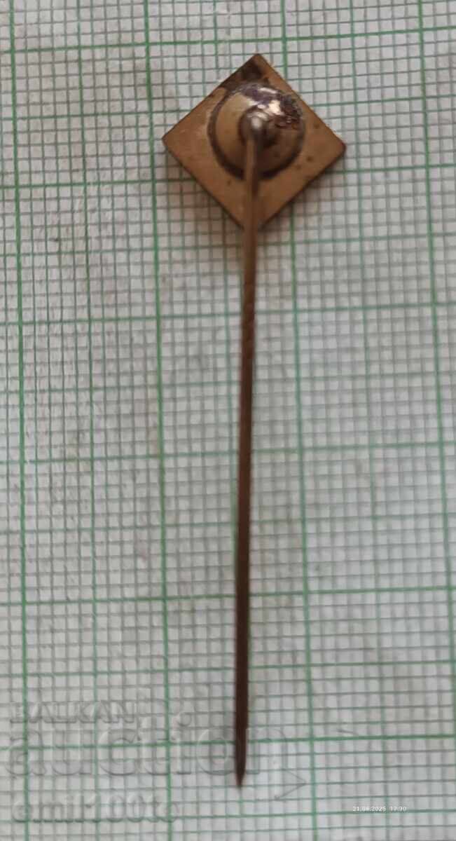 Delivery of Badge - IFA Truck Delivery of Badge - IFA Truck