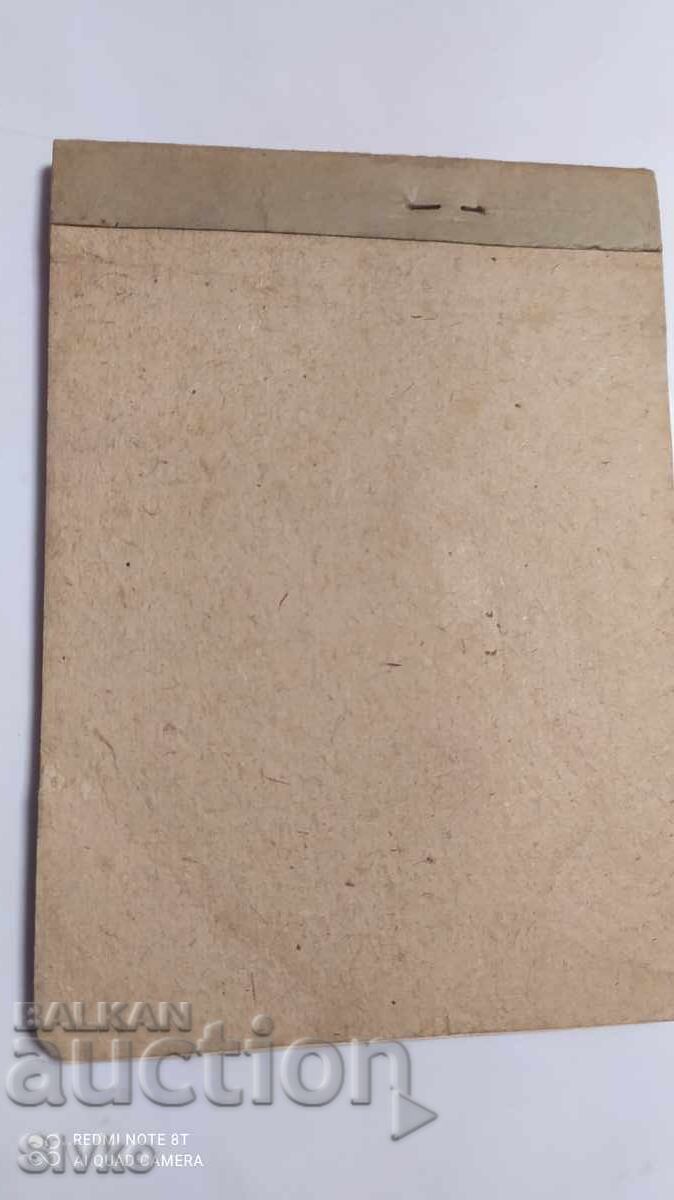 Δημοπρασία Σημειωματάριο, Βουλγαρο-σοβιετική φιλία, ενεργός σοσιαλισμός