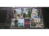 Sukhumi Postcard