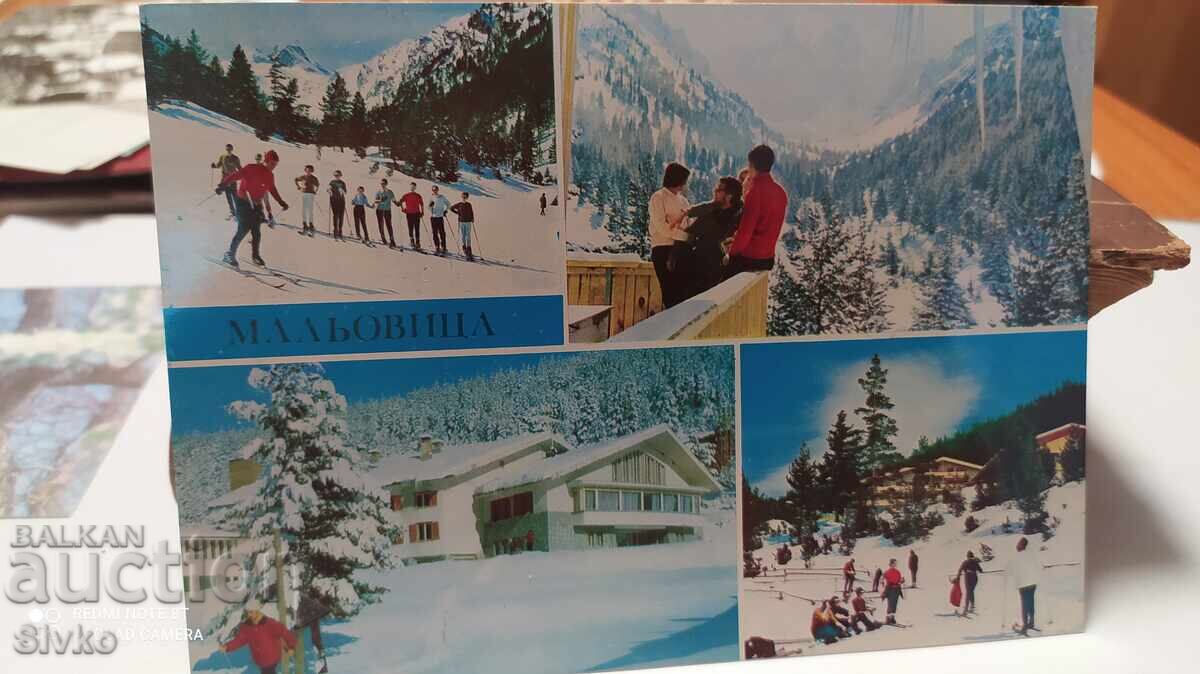 Картичка Мальовица 1981