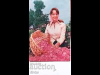 Card de recoltare a trandafirilor socialism