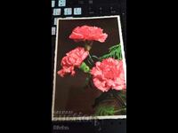 Καρτ ποστάλ, γαρύφαλλα γραμματόσημο 1962