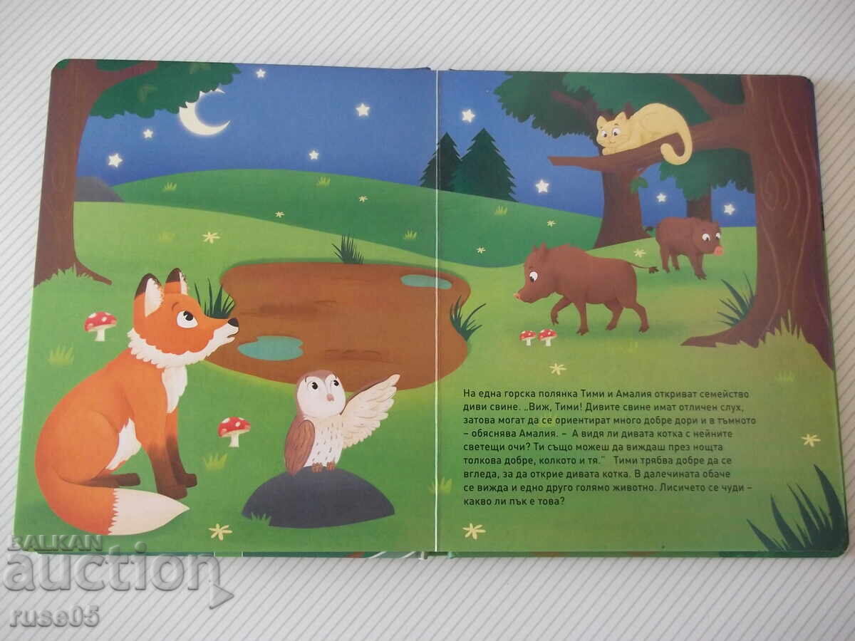 Auction  Book "With Timmy the Fox on a Night Walk in the Forest"