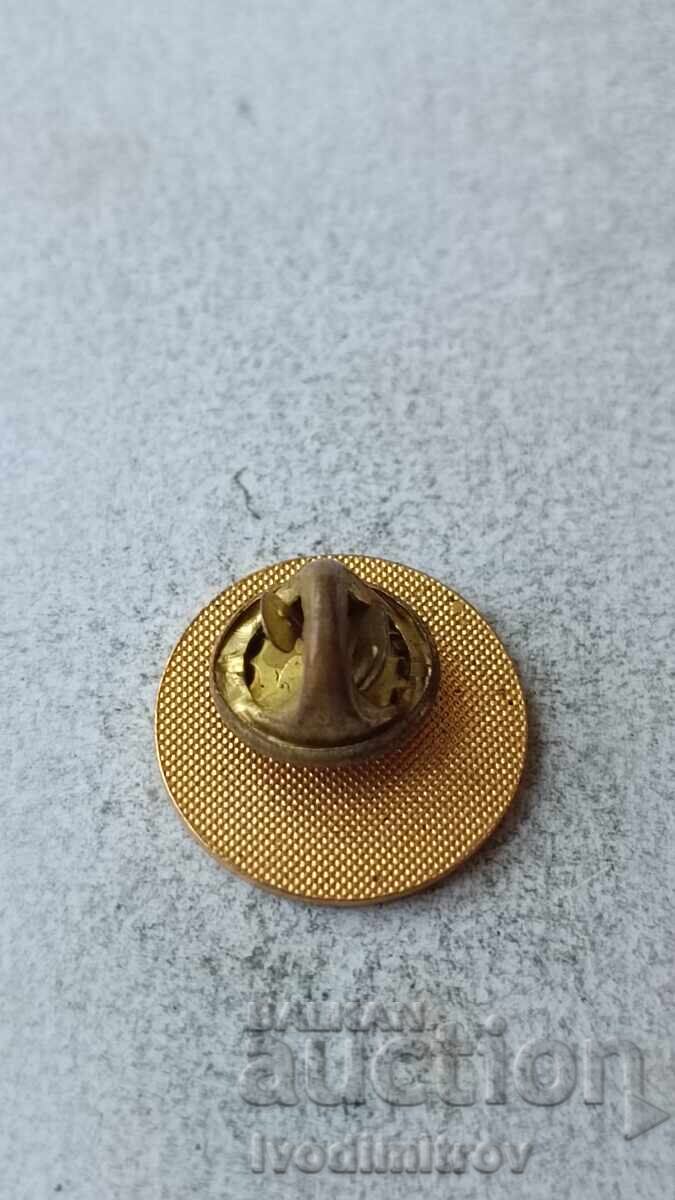 United States Olympic Volleyball Association Badge with price 5.45 BGN | € 2.79