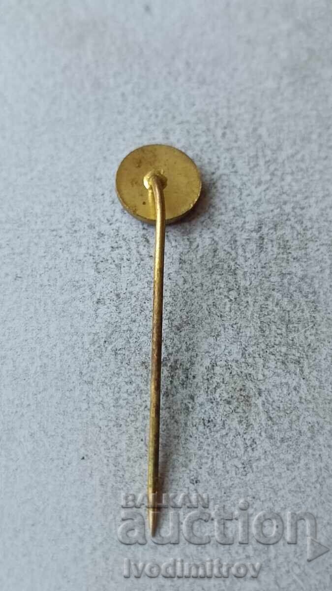 Значка Tatra с цена 3.65 лв. | € 1.87