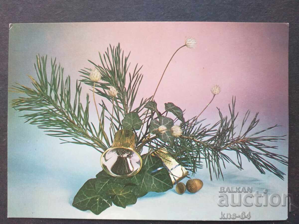 CHNG Congratulations CHNG Congratulations