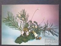 CHNG Congratulations