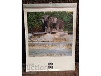 Calendar 1991. Austria