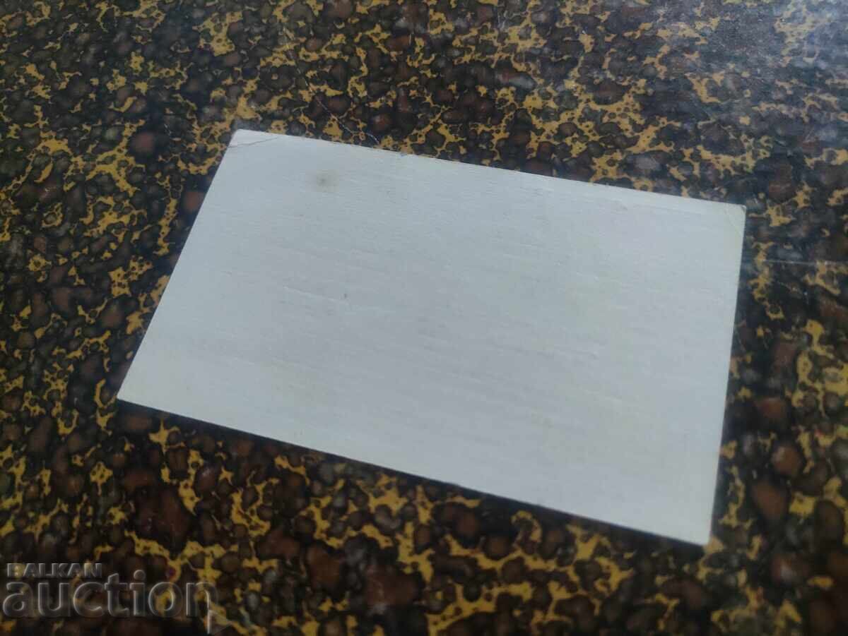 визитна картичка средищен директор Угърчин с цена 20.00 лв. | € 10.23