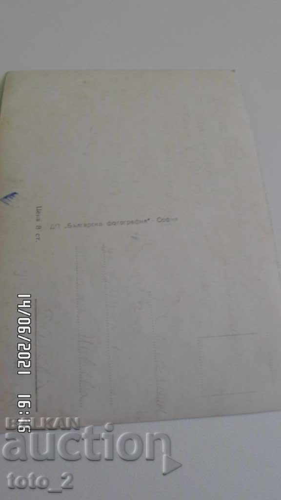 ΚΑΡΤΙΣΤΑ ΑΝΙ ΔΑΜΙΑΝΟΒΑ με τιμή 2.50 BGN | € 1.28