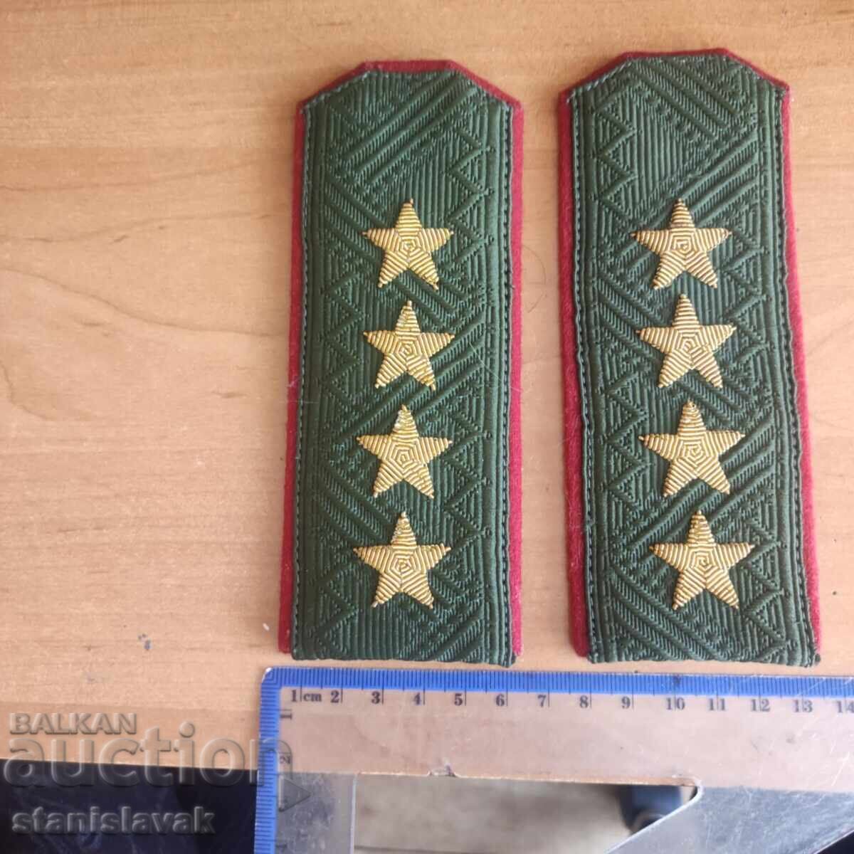 Δημοπρασία Παγόνια στρατηγού - στολή μάχης Δημοπρασία Παγόνια στρατηγού - στολή μάχης