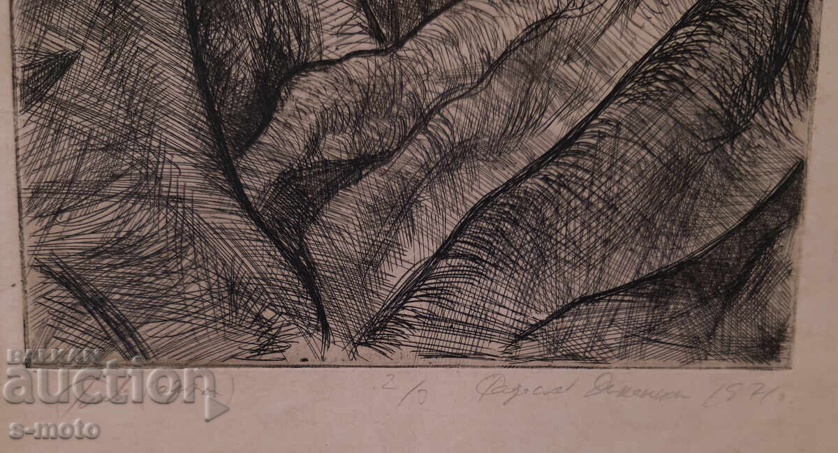 Grafică, portret, acvaforte 1971 - 5